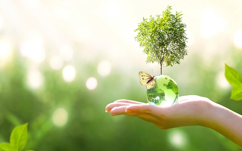 Earth crystal glass globe ball and growing tree in human hand, flying butterfly on green background. Saving environment, save clean planet, ecology concept. Card for World Earth Day.