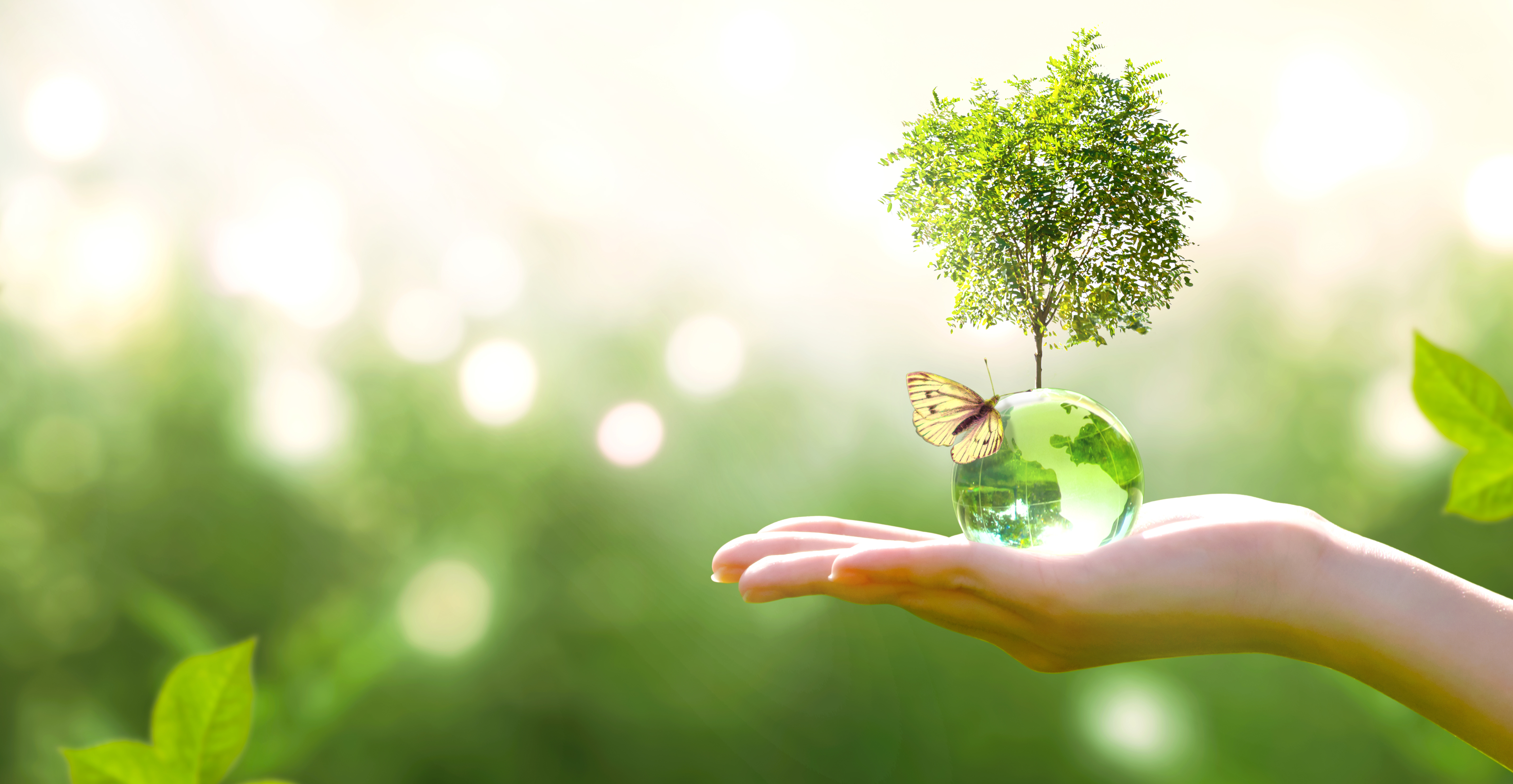 AdobeStock © julia_arda_Klimaschutz